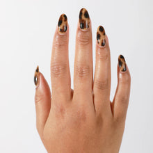 Load image into Gallery viewer, Totally Tortie (Dark)